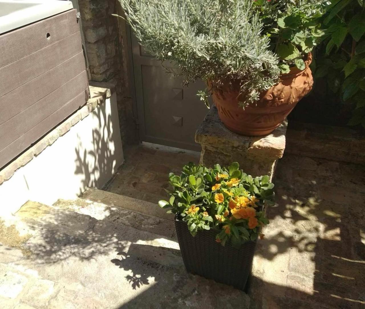 Anemomilos Jacuzzi Suite Corfu  Eksteriør bilde