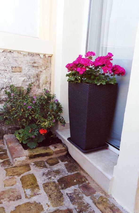 Anemomilos Jacuzzi Suite Corfu  Eksteriør bilde